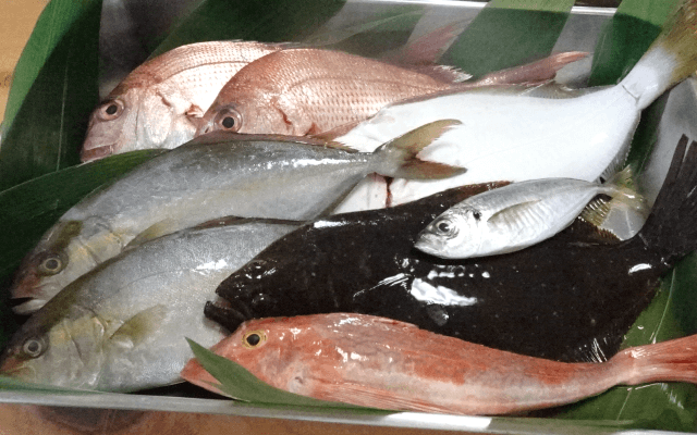 豊洲で仕入れたての魚介類寿司ネタ1