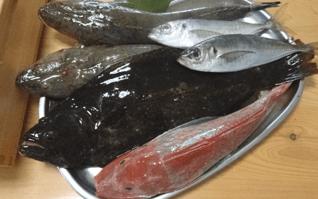 豊洲で仕入れたての魚介類寿司ネタ3